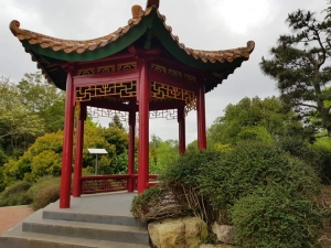 Image of maungatauturioct20c.jpg