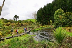 Image of maungatauturioct20h.jpg