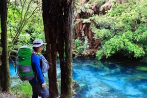 Image of maungatauturioct20i.jpg