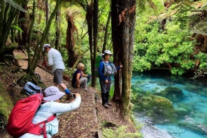 Image of maungatauturioct20j.jpg