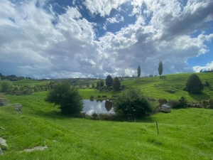 Image of maungatauturioct20s.jpg