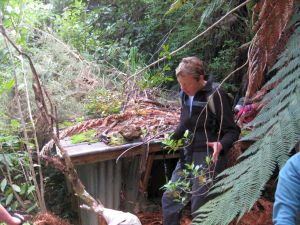 Image of mcbrinns10dbhut.jpg