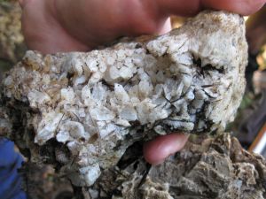 Image of mcbrinns10dfquartz.jpg