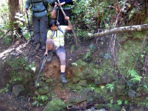 Image of mcbrinns10ebrimaroyal.jpg