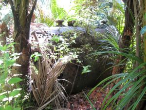 Image of mcbrinns10gbboiler.jpg