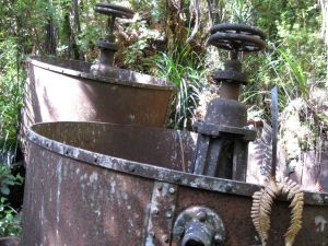 Image of mcbrinns10gfsosos.jpg