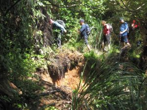 Image of mcbrinns10hatrack.jpg