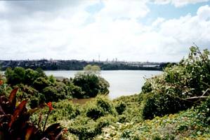 Image of meadowbank02orakeibasin.jpg