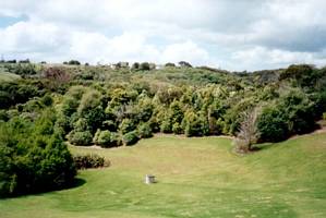 Image of meadowbank02tahapareserve.jpg