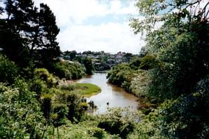 Image of meadowbank02upperorakeibasin.jpg