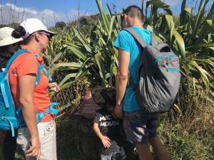 Image of mercerbaymar20e.jpg