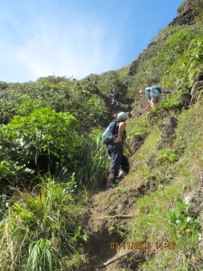 Image of mercerbaynov132.jpg