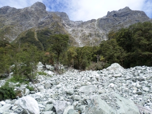 Image of milfordtyrackjan15cs2478.jpg