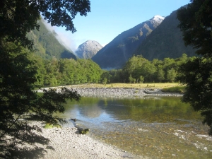 Image of milfrodtrack15kim8.jpg