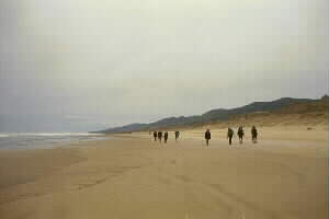 Image of mitimiticoast2q.jpg