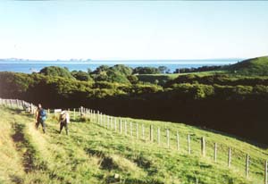 Image of moehaualmostdownq.jpg