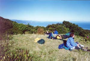 Image of moehaulunchq.jpg