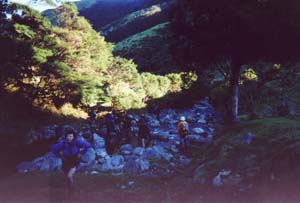 Image of moehausettingoutq.jpg