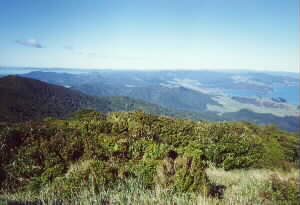 Image of moehauview2q.jpg