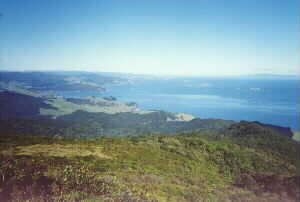 Image of moehauviewq.jpg