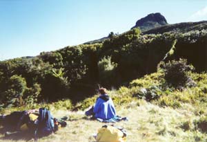 Image of moehauviewsummitq.jpg