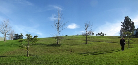 Image of moireparkjun16e.jpg