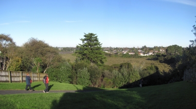 Image of moireparkjun16f.jpg