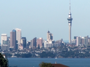 Image of moireparkjun16i.jpg