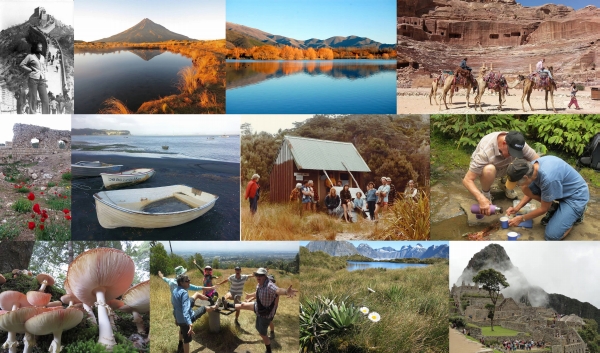 Image of montage.jpg