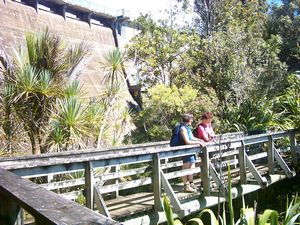 Image of montana05belowdam.jpg