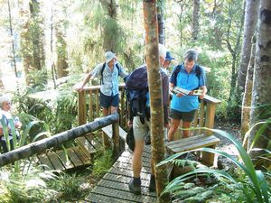 Image of montana05byviewnearstart.jpg