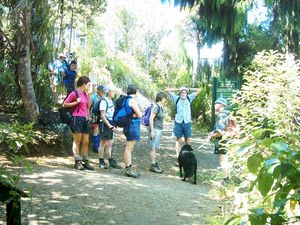 Image of montana05damleaving.jpg