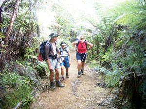 Image of montana05longroadtrack.jpg