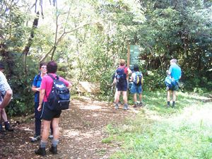 Image of montana05simla2.jpg