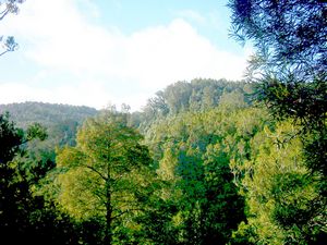 Image of montana05viewnearstart.jpg