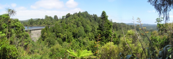 Image of montana16c.jpg