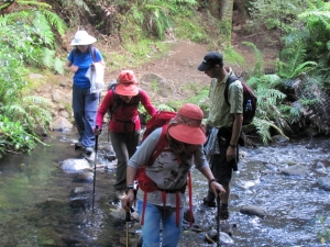 Image of montana16j.jpg