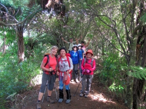 Image of montana16k.jpg