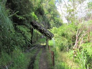 Image of montana16q.jpg