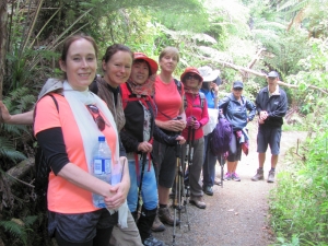 Image of montana16r.jpg