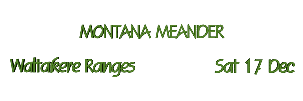 Image of montanameander16.gif