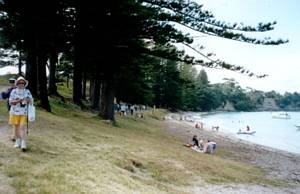 Image of motuihe03harbourbeach.jpg