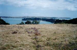 Image of motuihe03summit.jpg