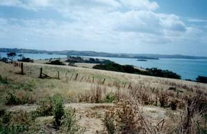 Image of motuihe03summit3.jpg