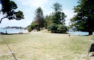 Image of motuihe03twobeaches.jpg