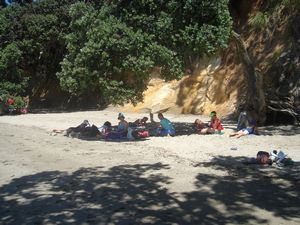 Image of motuihejan09bpicnic.jpg