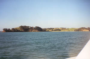 Image of motuora02approachingq.jpg