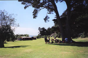 Image of motuora02campgroundq.jpg