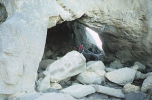 Image of motuora02caveq.jpg