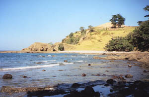 Image of motuora02eastbeach2q.jpg